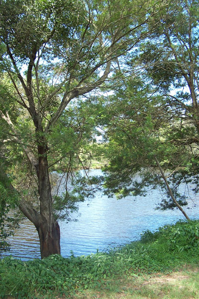 Camden Haven River from Norrie Reserve